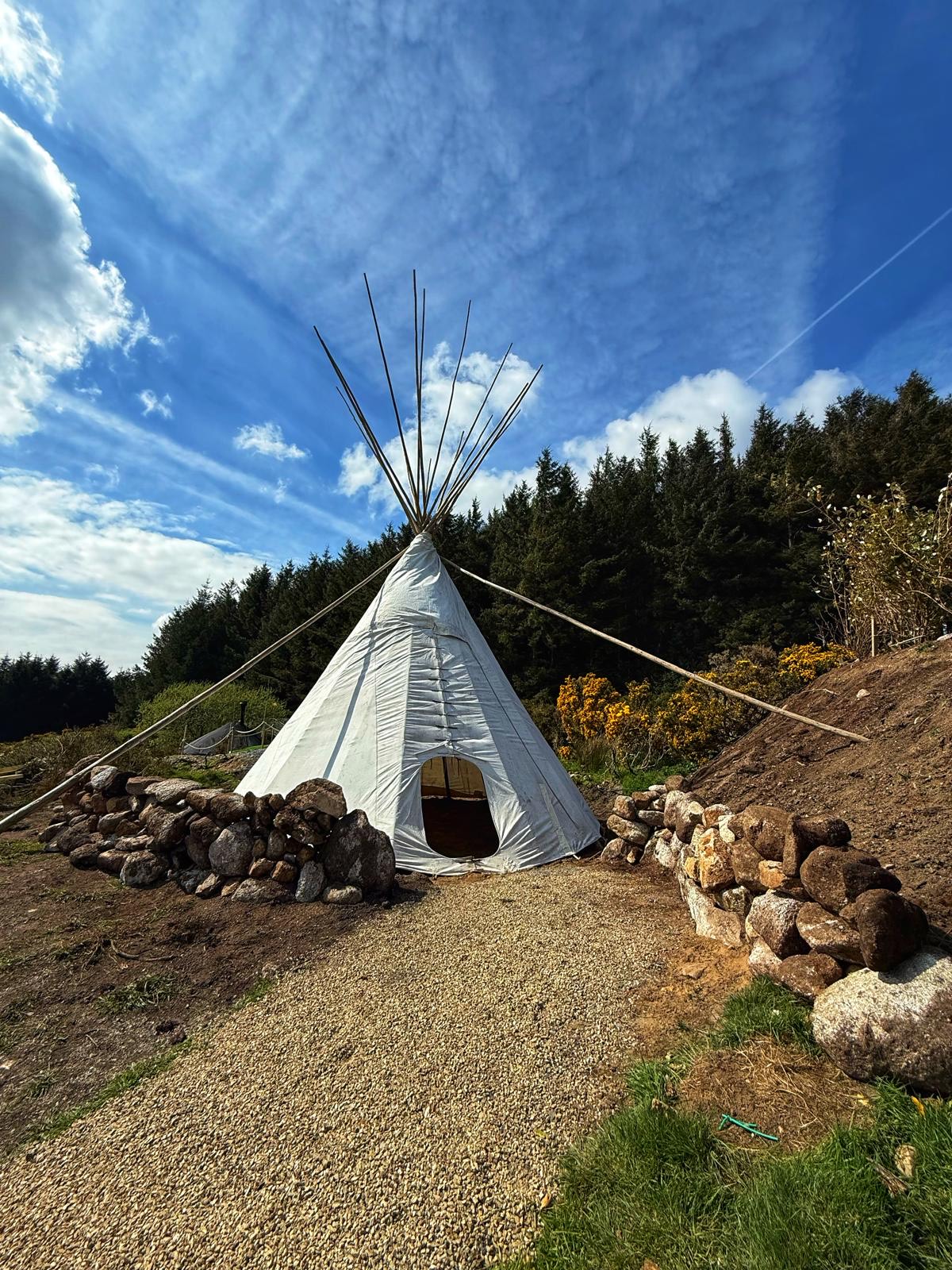 bde90f00-0ec3-4a2a-a1b2-2f6572c631e7